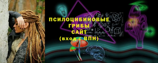 2c-b Елизово