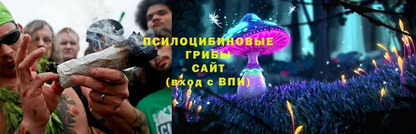 круглые Абаза