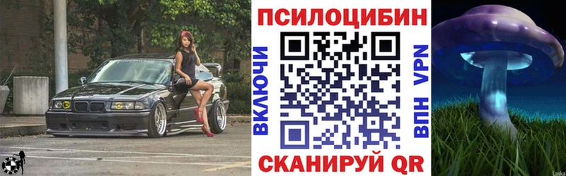 купить Советск Псилоцибиновые грибы прущие грибы