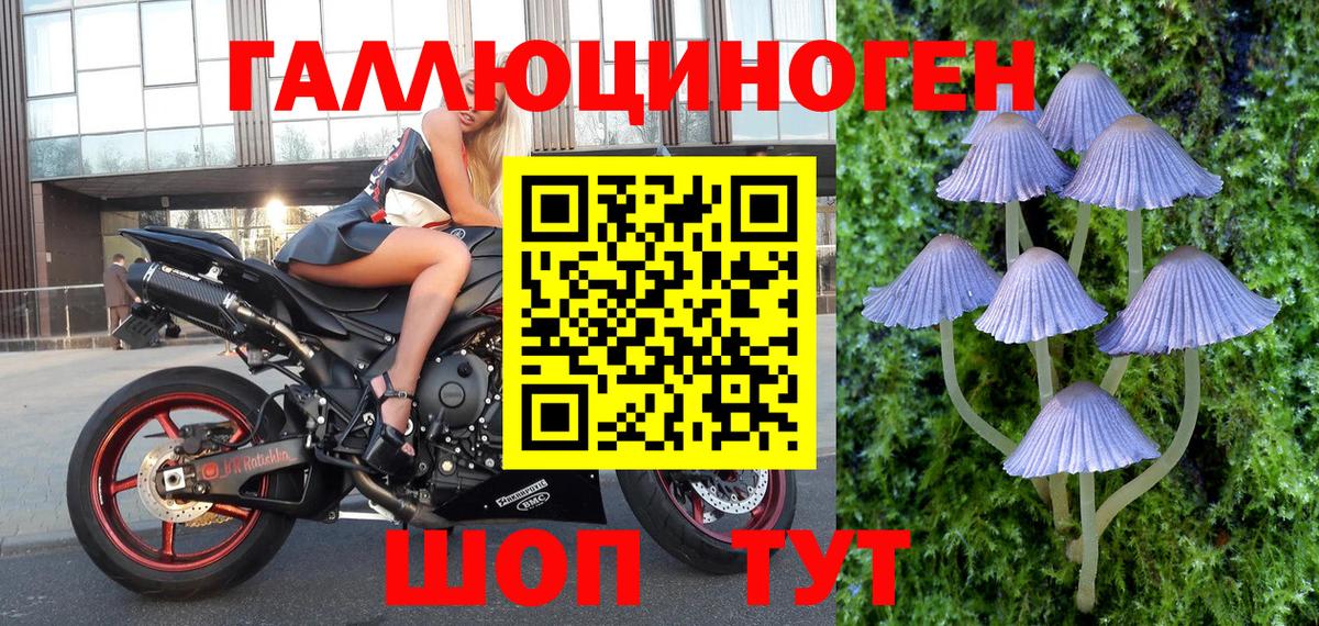Советск  Галлюциногенные грибы прущие грибы  Вход с VPN 